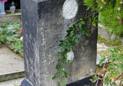 Novosedlice, Omnium, 2020