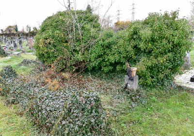 Novosedlice, Omnium, 2020