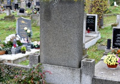 Novosedlice, Omnium, 2020