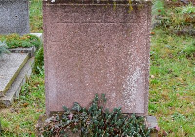 Novosedlice, Omnium, 2020