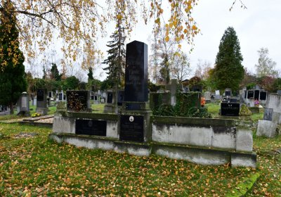 Novosedlice, Omnium, 2020