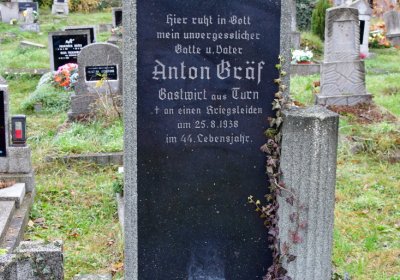 Novosedlice, Omnium, 2020