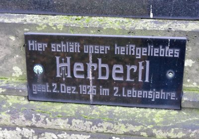 Novosedlice, Omnium, 2020