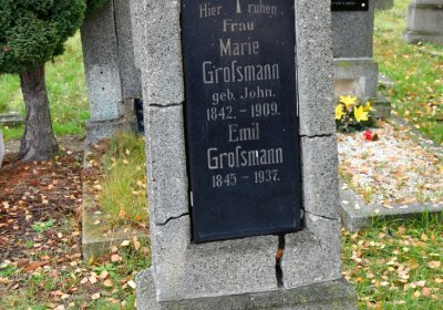 Novosedlice, Omnium, 2020