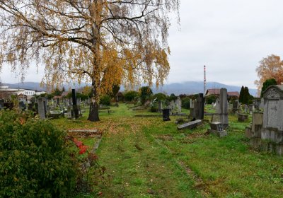 Novosedlice, Omnium, 2020