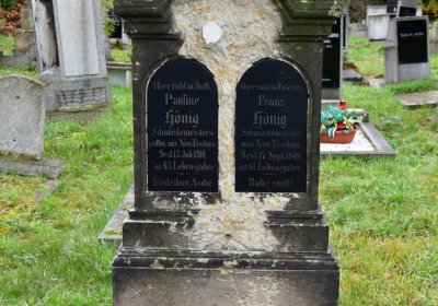 Novosedlice, Omnium, 2020