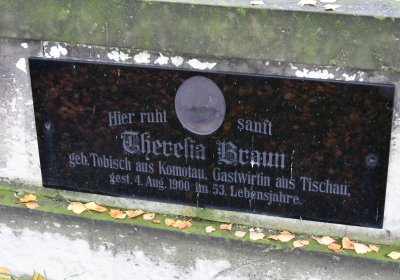 Novosedlice, Omnium, 2020