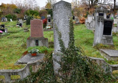 Novosedlice, Omnium, 2020