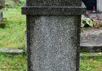 Novosedlice, Omnium, 2020