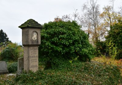 Novosedlice, Omnium, 2020