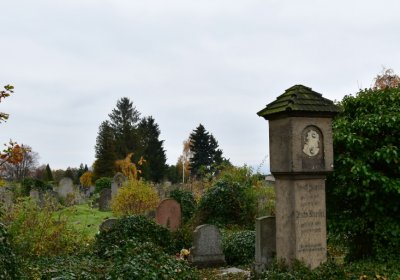 Novosedlice, Omnium, 2020