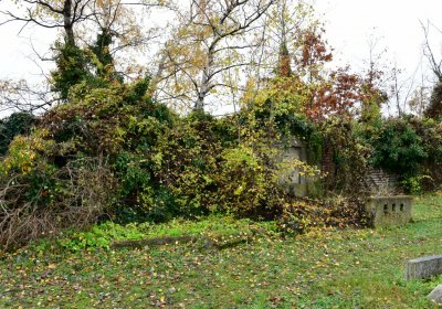 Novosedlice, Omnium, 2020