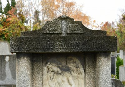 Novosedlice, Omnium, 2020