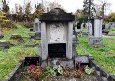 Novosedlice, Omnium, 2020