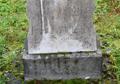 Novosedlice, Omnium, 2020