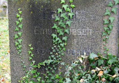 Novosedlice, Omnium, 2020