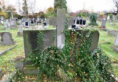 Novosedlice, Omnium, 2020