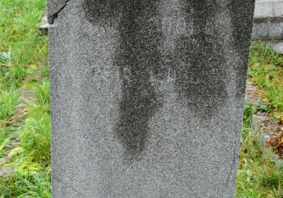 Novosedlice, Omnium, 2020