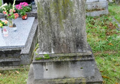 Novosedlice, Omnium, 2020