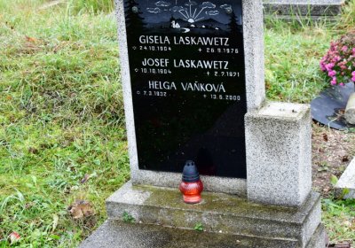 Novosedlice, Omnium, 2020