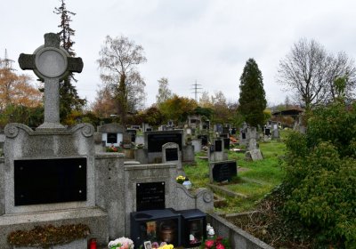 Novosedlice, Omnium, 2020