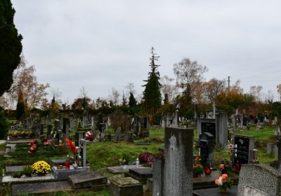 Novosedlice, Omnium, 2020