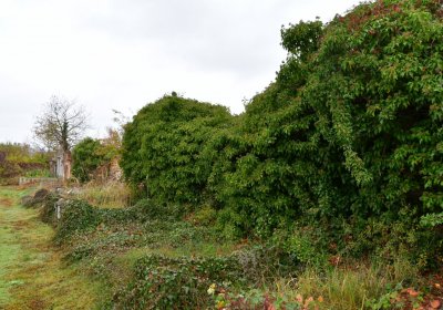 Novosedlice, Omnium, 2020