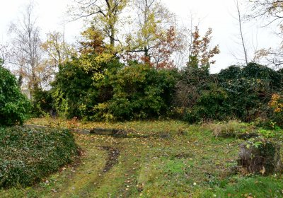 Novosedlice, Omnium, 2020