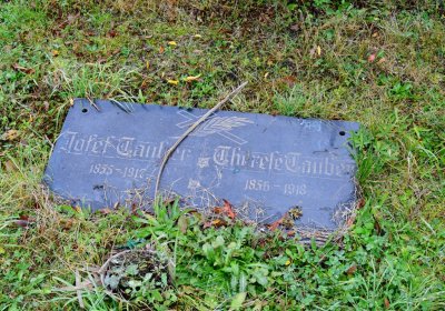 Novosedlice, Omnium, 2020