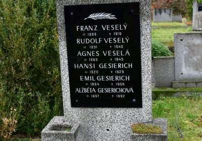 Novosedlice, Omnium, 2020