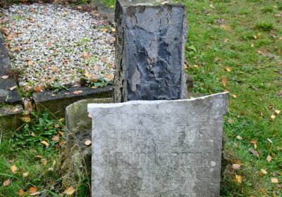 Novosedlice, Omnium, 2020