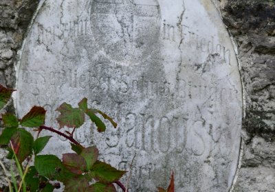 Novosedlice, Omnium, 2020