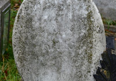 Novosedlice, Omnium, 2020