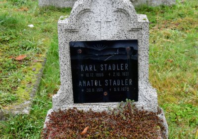 Novosedlice, Omnium, 2020