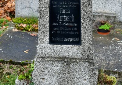 Novosedlice, Omnium, 2020