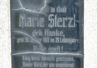 Novosedlice, Omnium, 2020