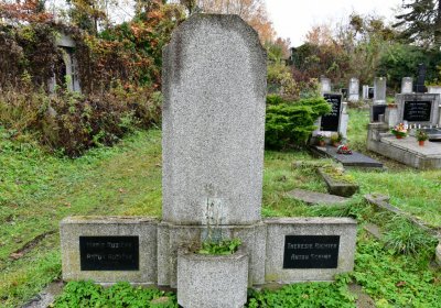 Novosedlice, Omnium, 2020