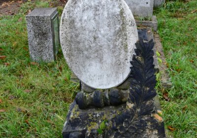 Novosedlice, Omnium, 2020