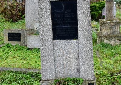 Novosedlice, Omnium, 2020