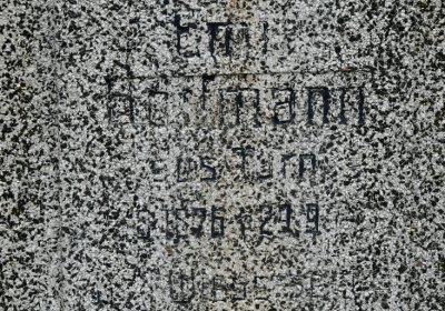 Novosedlice, Omnium, 2020