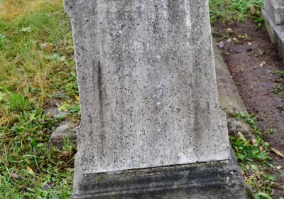 Novosedlice, Omnium, 2020