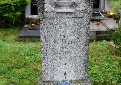 Novosedlice, Omnium, 2020