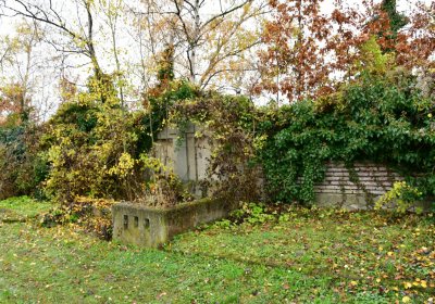 Novosedlice, Omnium, 2020