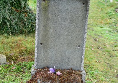 Novosedlice, Omnium, 2020