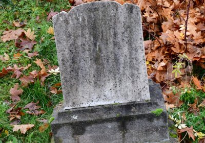 Novosedlice, Omnium, 2020