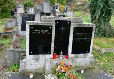 Novosedlice, Omnium, 2020