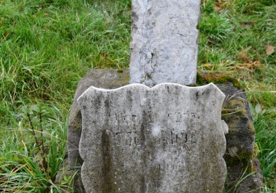 Novosedlice, Omnium, 2020