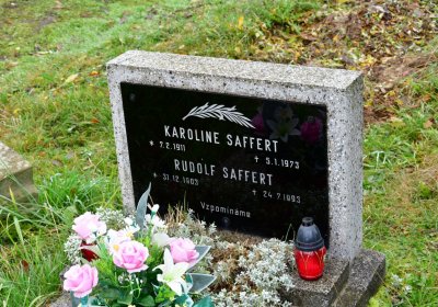 Novosedlice, Omnium, 2020