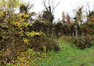 Novosedlice, Omnium, 2020