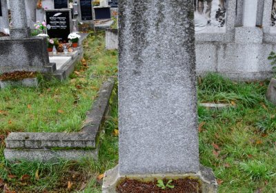 Novosedlice, Omnium, 2020